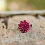 Deep Wine Red Chrysanthemum..