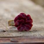 Red-Burgundy Lotus Flower A..