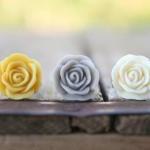 Mustard Yellow Rose Flower..