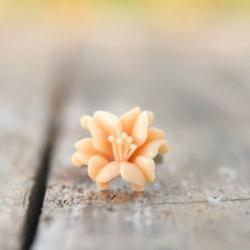 Pale-Peach Lily Flower Antique Brass Ring perfect for a Maid of Honor Gift - Cantaloupe